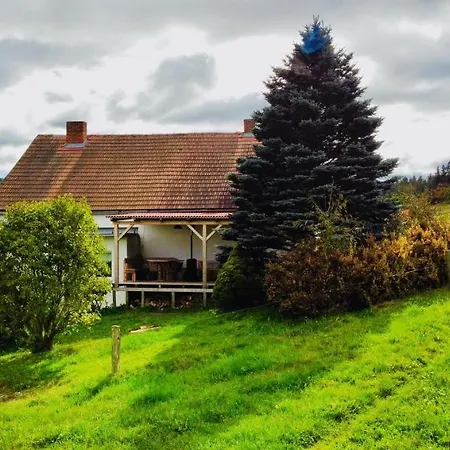 Bořanovice Vila *